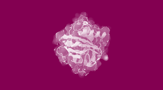 Bicyclic peptides